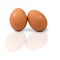 Two eggs isolate on white background
