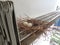 Two eggs of red collared dove birds in the nest on aluminum cloths racks.