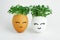 Two eggs with seedlings inside. A cute face is painted on the shell. Concepts of Easter decor, growing micro-greenery