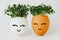 Two eggs with seedlings inside. A cute face is painted on the shell. Concepts of Easter decor, growing micro-greenery for food,
