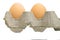 Two eggs in a tray on white isolation.