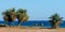 Two Egyptian girls riding camels ride along the coast of the Red Sea