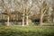 Two elderly couples sitting on a park bench watching life go by