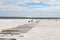 Two elderly men collecting salt  in a bottle at salt lake Baskunchak