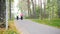 Two elderly women are doing Scandinavian walking in the park