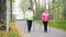 Two elderly women are doing Scandinavian walking in the park. Autumn