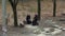 Two Elderly Women Sitting and Talking