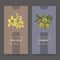 Two elegant labels with ylang and bergamot bouquet color sketch.