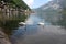 Two elegant swans in a lake in halstatt Austria