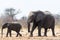 Two Elephants, adult and child, on the way to waterhole