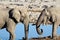 Two elephants drinking at Okaukuejo Waterhole