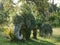 Two elephants overgrown with bushes..