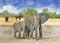 Two Elephants posing for the camera with another two in the background in Hwange National Park, Zimbabwe, Southern Africa