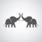 Two elephants silhouettes