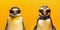 Two emperor penguins wearing sunglasses.