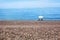 Two empty chaise lounges and white sun umbrella on beautiful lonely pebble beach, blue sea water, sky and horizon line background