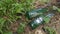 Two empty consumed Heineken beer bottle  was found or thrown on the bushes