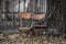 Two empty old wooden chairs on an autumn street