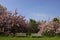 Two empty park benches