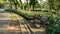 Two emty wooden bench in public garden beside walkway and hollyhok flower plant blooming umder the greenery trees