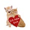 Two enamored cats with red heart on valentine