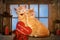 Two enamored cats on Valentine