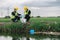 Two Environmental Engineers Take Water Samples at Natural Water Sources Near Farmland Maybe Contaminated by Toxic Waste or