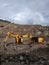 Two excavators are running rock mining activities