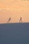 Two explorers on the desert, casting shadows on the sand dunes on a hot, sunny day.