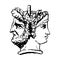 Two-faced Janus. Woman and man heads in profile, connected by the nape. Stylization of the ancient Roman style. Graphical design.