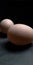 two fairly large duck eggs on a dark background