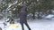 Two families grill kebabs in winter in a snowy pine forest.