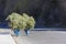 Two farmer women carrying a load of branches.