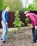 Two farmers discuss taking care of young pear tree in outdoor garden