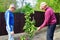 Two farmers discuss taking care of young pear tree in outdoor garden
