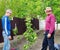 Two farmers discuss taking care of young pear tree in outdoor garden