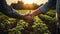 Two Farmers Discussing On The Field And Sealing The Deal With A Handshake