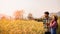 Two farmers man and woman standing in a wheat field