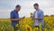 Two farmers men business funny laugh smartphone explore walking examining crop of sunflowers in field slow motion vide