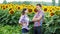 Two farmers shake a deal, man and woman in the agrarian sphere, talking in a field of sunflowers