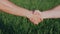 Two farmers shake hands against the background of a green wheat field. Deal in agribusiness concept