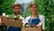 Two farmers showing cherry harvest in crate box at local market fruit orchard.