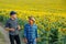 Two farmers son and father, walk near the sunflower field and I talk