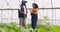 Two farmers standing in greenhouse field talking with spade, vegetable farming