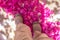 Two feet standing in bright purple pile of bougainvillea petals