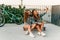 Two female best friends taking selfie with smartphone when sitting on skateboarding while walking at summer sunny day