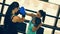 Two Female Boxers At Training