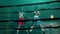 Two female boxers training in boxing gym together