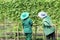 Two female gardeners planting tree