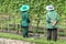 Two female gardeners planting tree